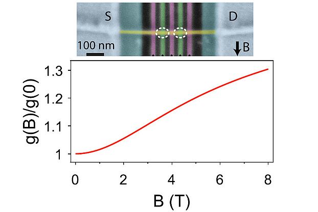 GeSi Holes g-factor renormalization